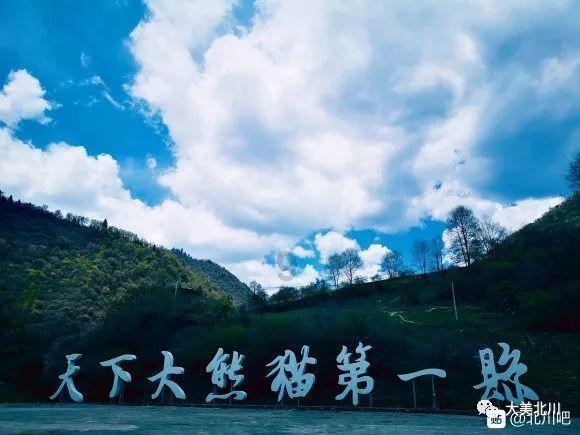 安全守护2下载游戏画面