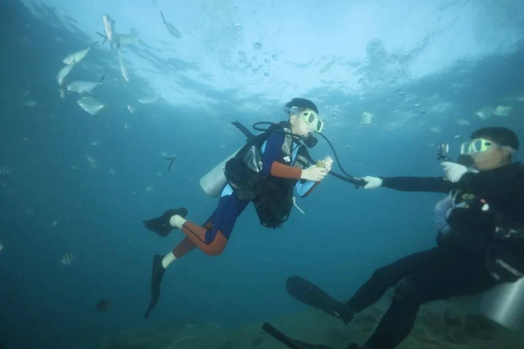 海绵宝宝寻珍宝