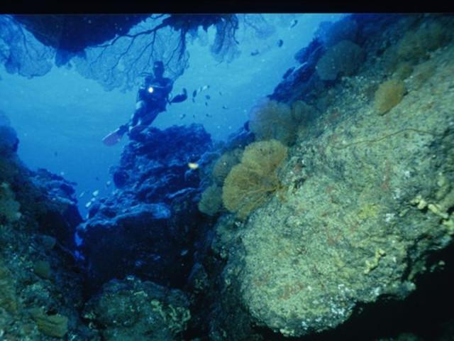 贵阳银行助力“年货节”释放消费澎湃活力